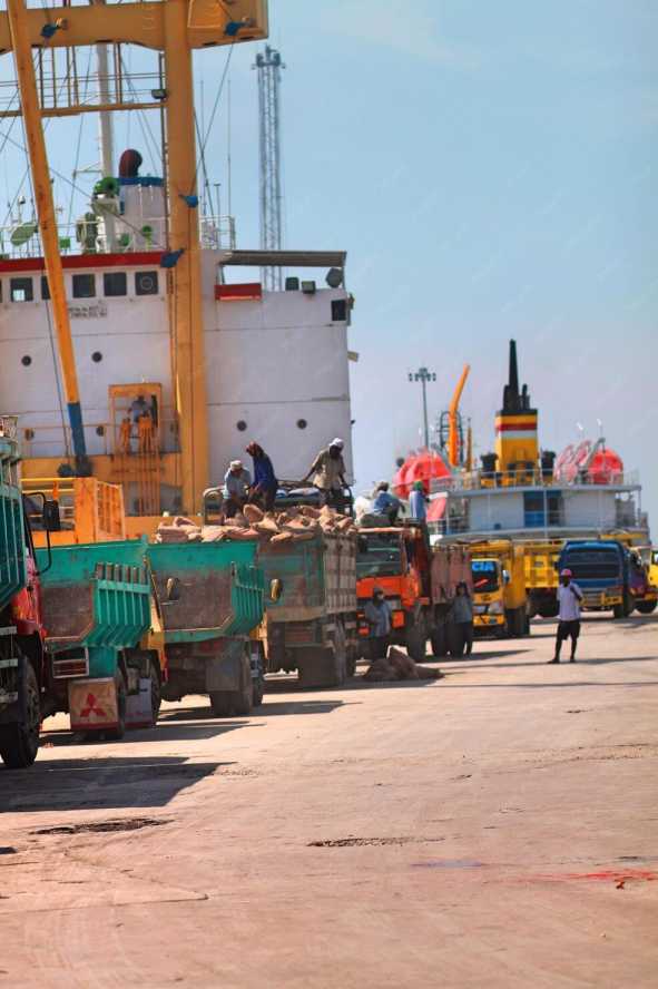 logistics & transportation management